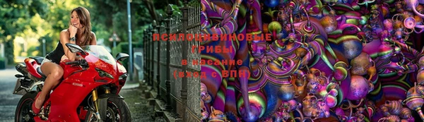 спайс Алексин