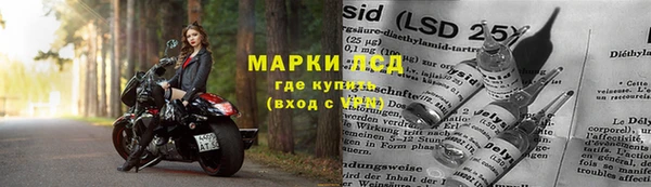 мяу мяу мука Алзамай